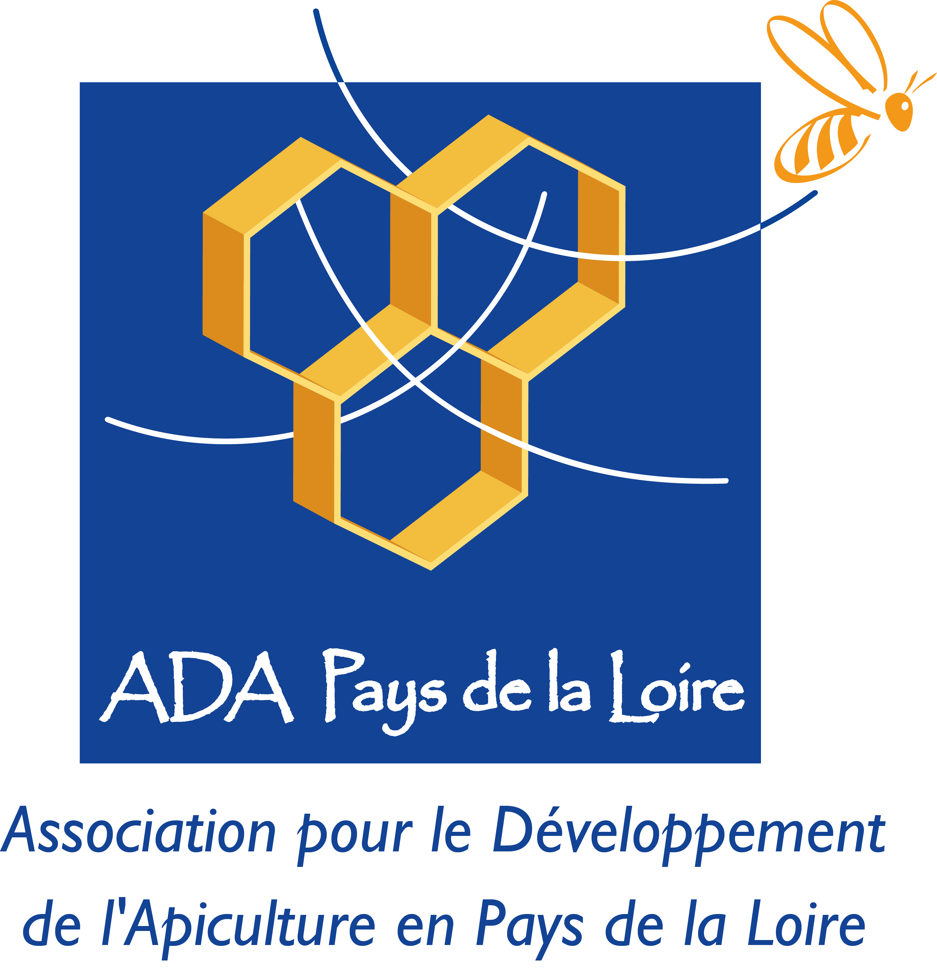 logo Ada Aura